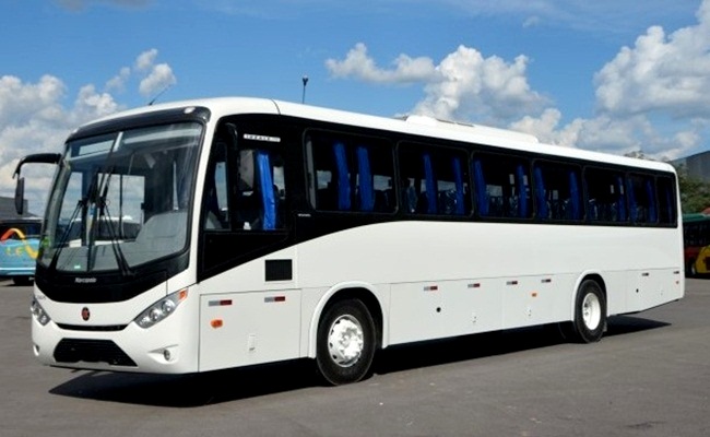 Luxury Bus For Wedding